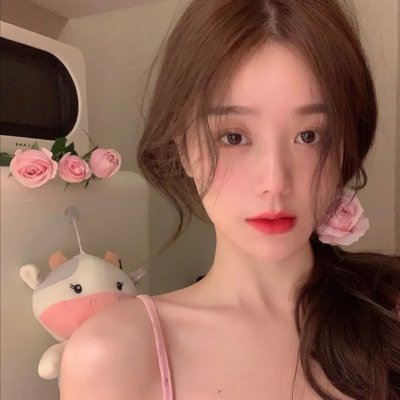 鹈鹕的故事